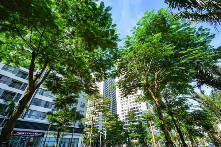 Luna'S Splendid Home Hanoi Exterior photo